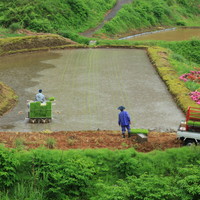 五月の田植え　2020年5月 新潟県十日町