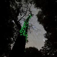 幽玄　2015年9月 長野県